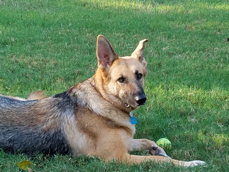 Missy
