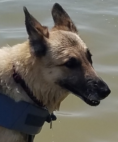 Nadia