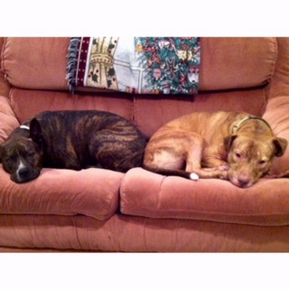 Riley and Marley