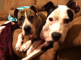 Maya and Lacie