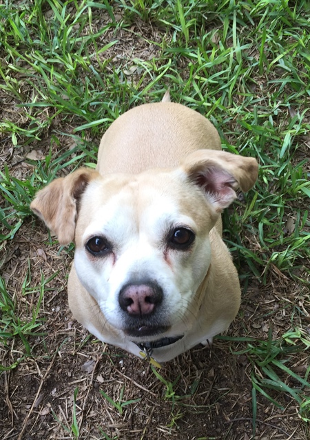 Molly