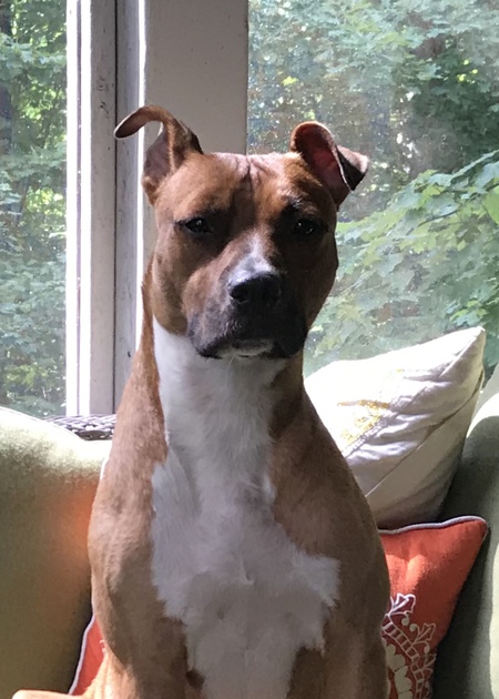 Benny
