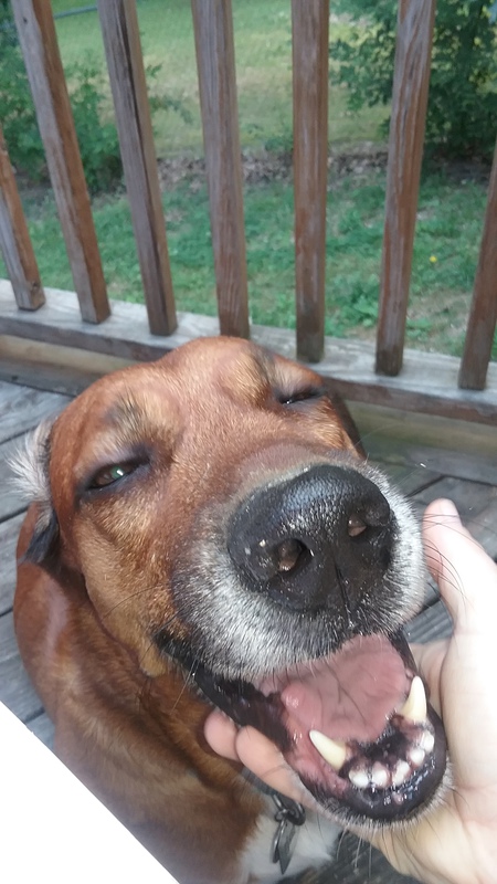 Rufus 