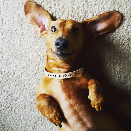 Frankie