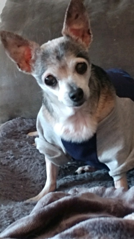 Josie