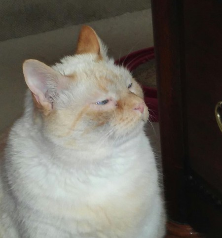 Smudge