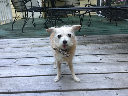Marley