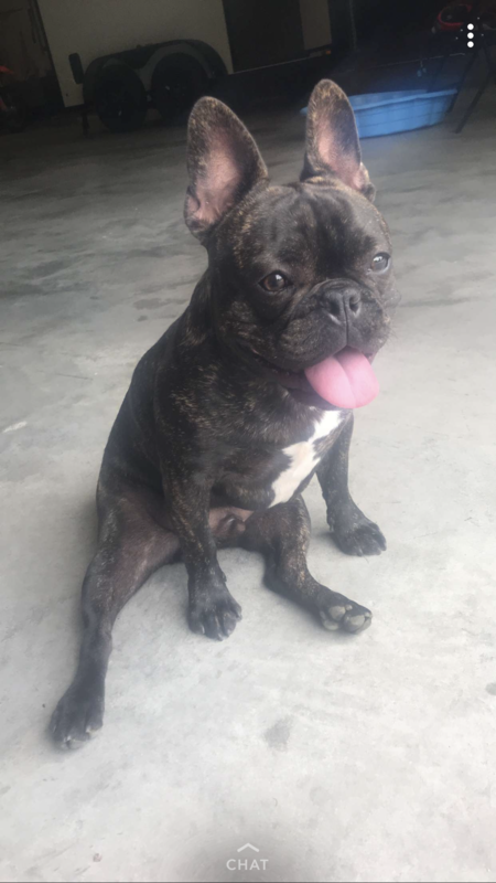 Beau 
