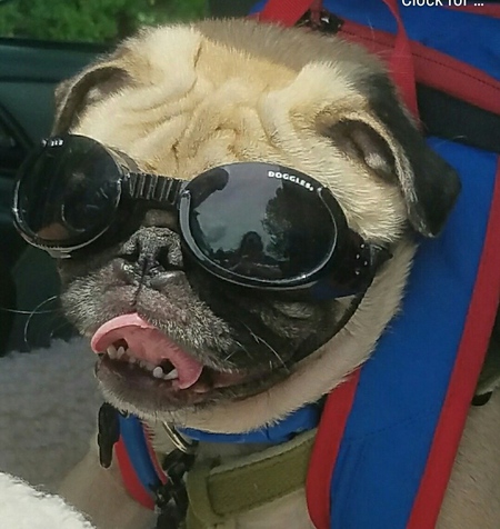 Oliver