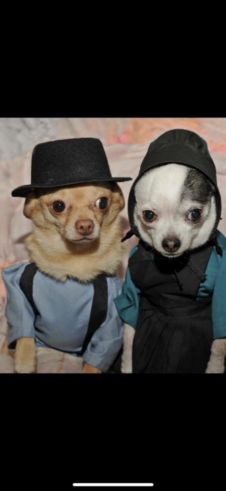 Monte and Sam 