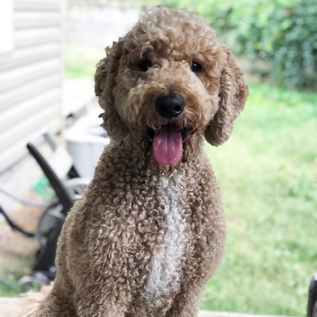 Harvey 
