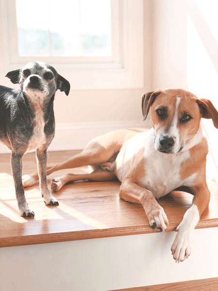 Ebby and Remy
