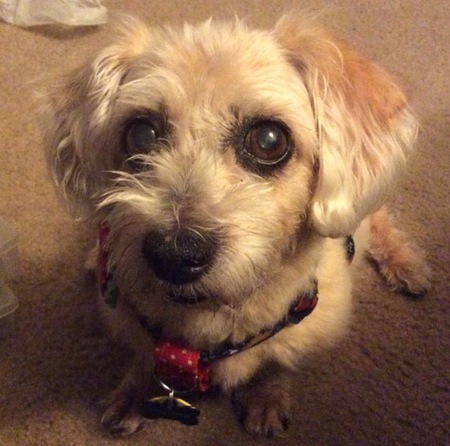 Minnie