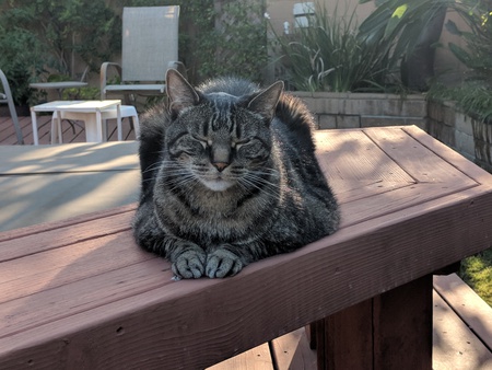 Stanley