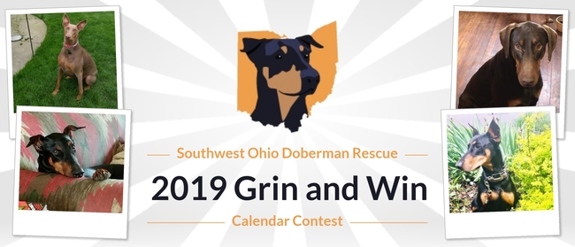 Rules Southwest Ohio Doberman Rescue Southwest Ohio Doberman Rescue 19 Grin And Win Calendar Contest