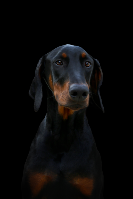 Onyx