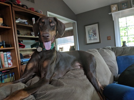 Linus