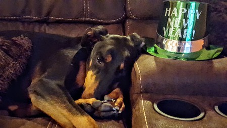 Guinness 