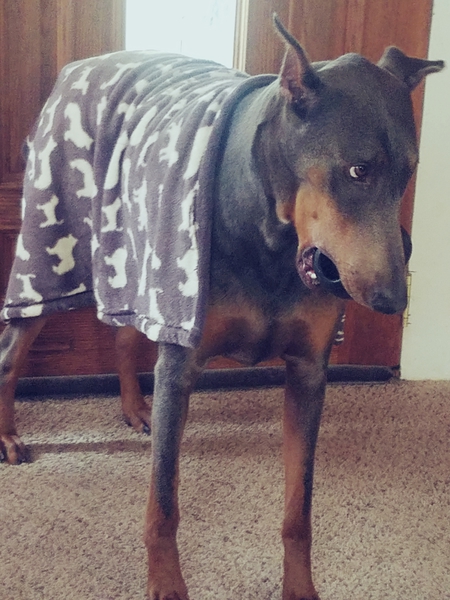 Tucker