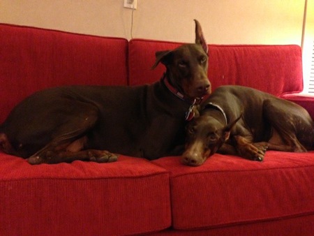 Diamond & Zane