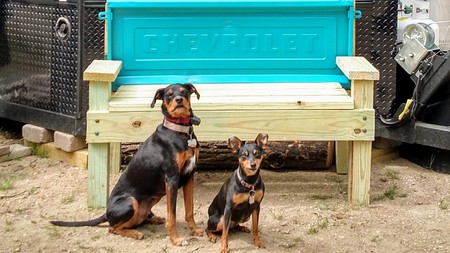 Wrangler and Chevy