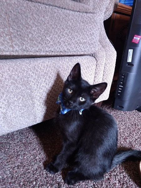 Winston 