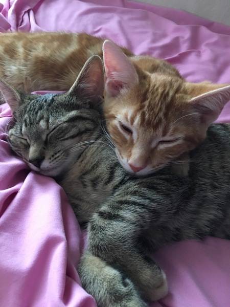 Beth & Oats