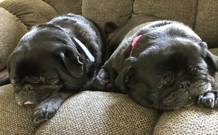 Frankie and Sally