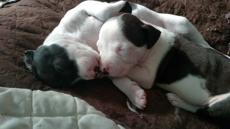 Bop Bop and Reyah 