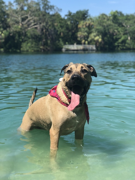 Rosie