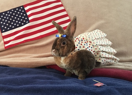 BunnyGirl