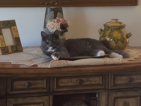 Percy