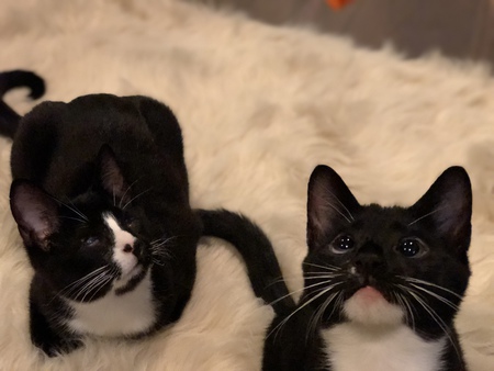 Marnie and Toby 
