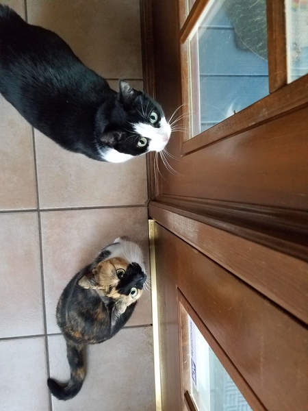 Lorelei and Vangie 