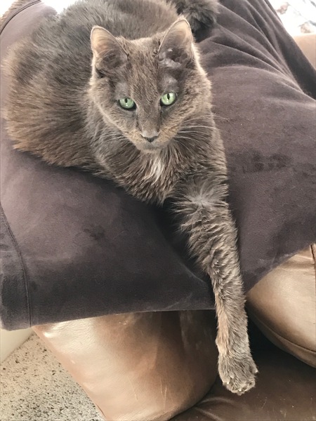 Smokey 