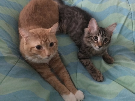 Chloe and Joji