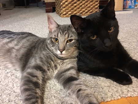 Greyson & Max