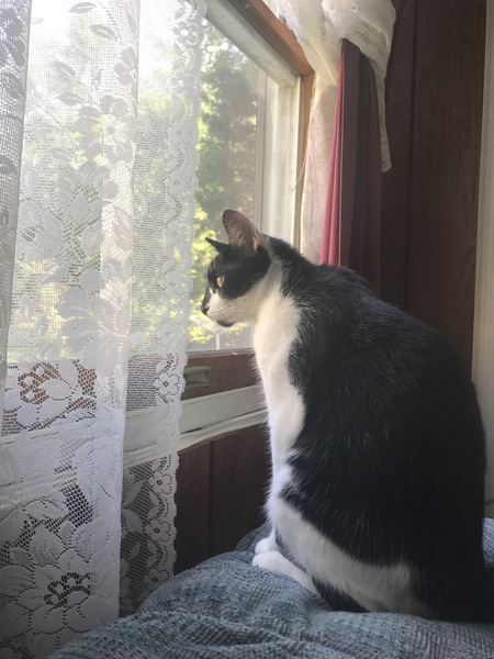 Oliver