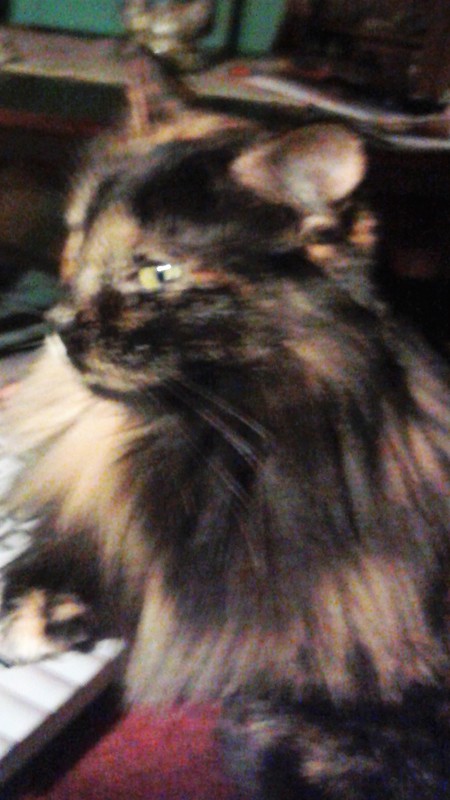 Luna
