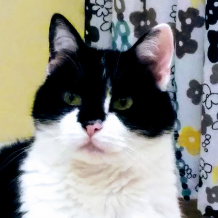 Miss Charlotte