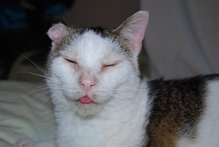Oscar