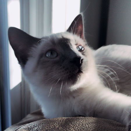 Fuzz