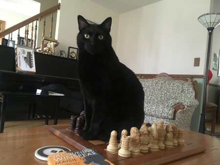 Jack