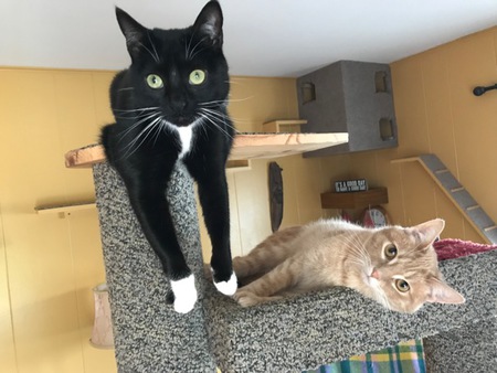  Panchita and Bernie 