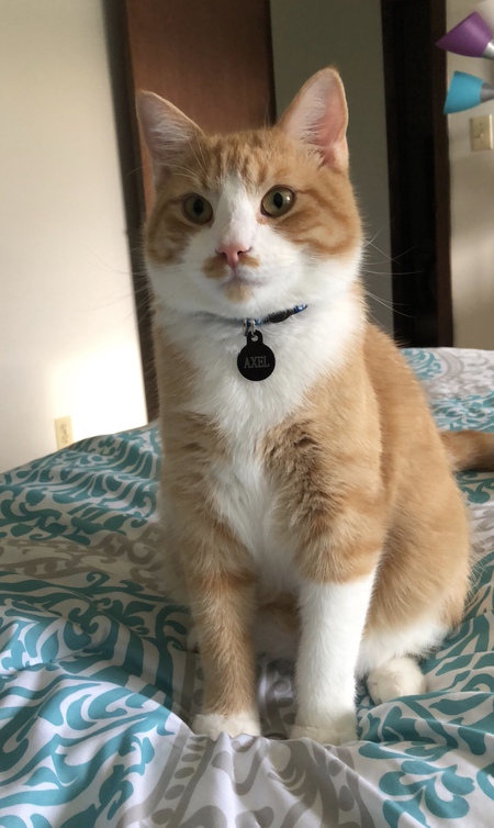 Axel