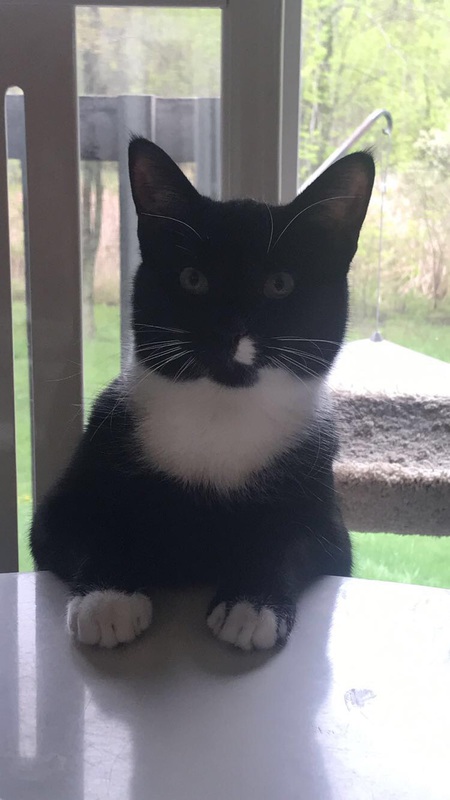 Oliver