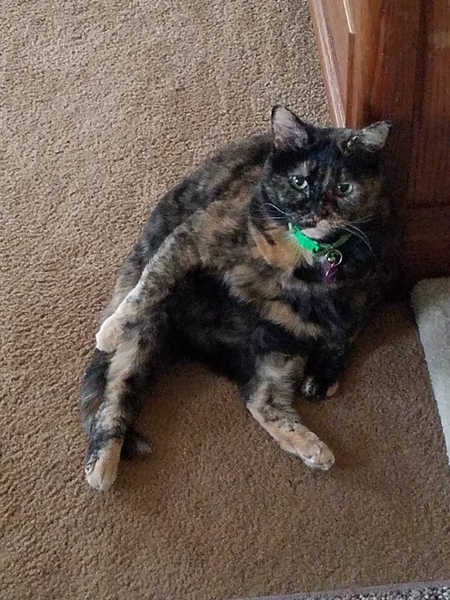 Maxine