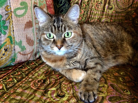Freya
