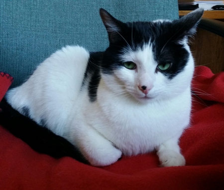 Milo