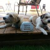 Entry image for Rufus and Trixie